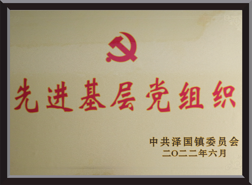 Advanced grassroots party organizations