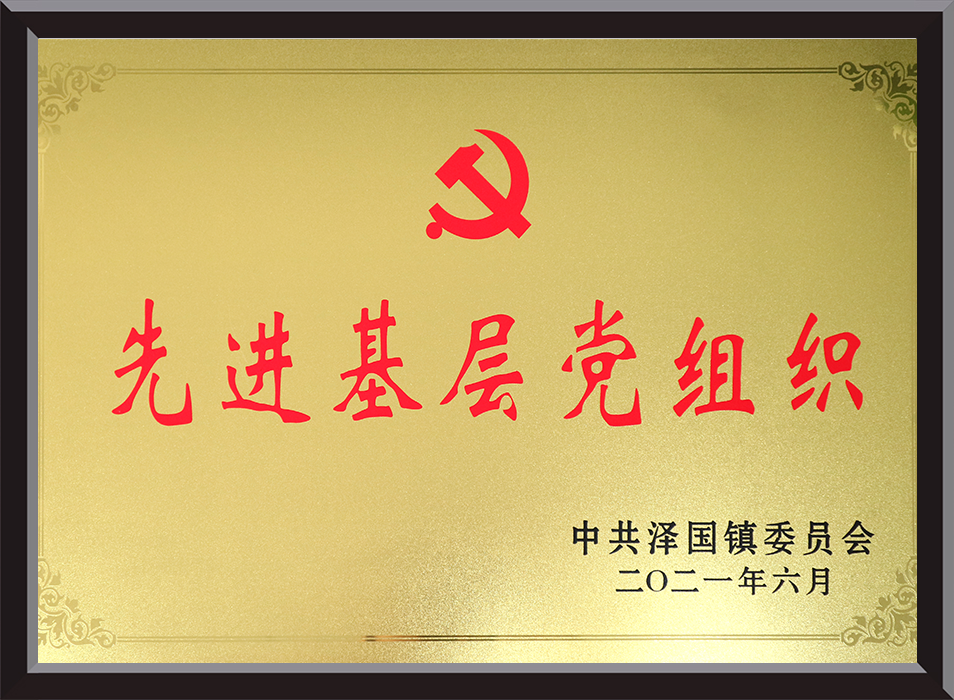 2020 Outstanding Party Organization (Bronze Plaque)