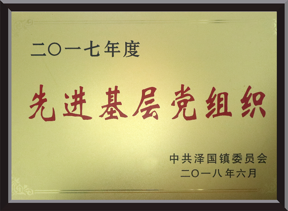 Bronze plaque for Advanced Grassroots Party Organization in 2017