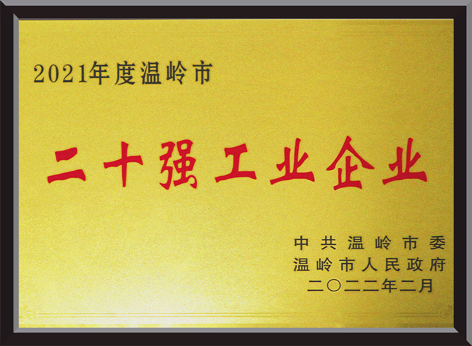 Top 20 Industrial Enterprises in the City in 2021 (Plaque)