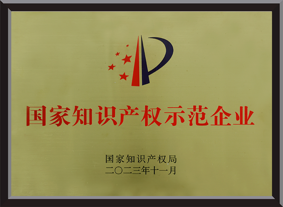 National Intellectual Property Demonstration Enterprise