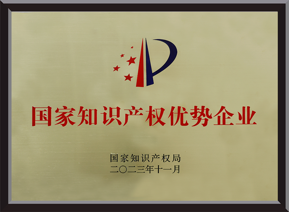 National Intellectual Property Advantage Enterprises