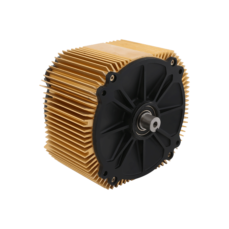 205 Mid motorcycle motor（L002）