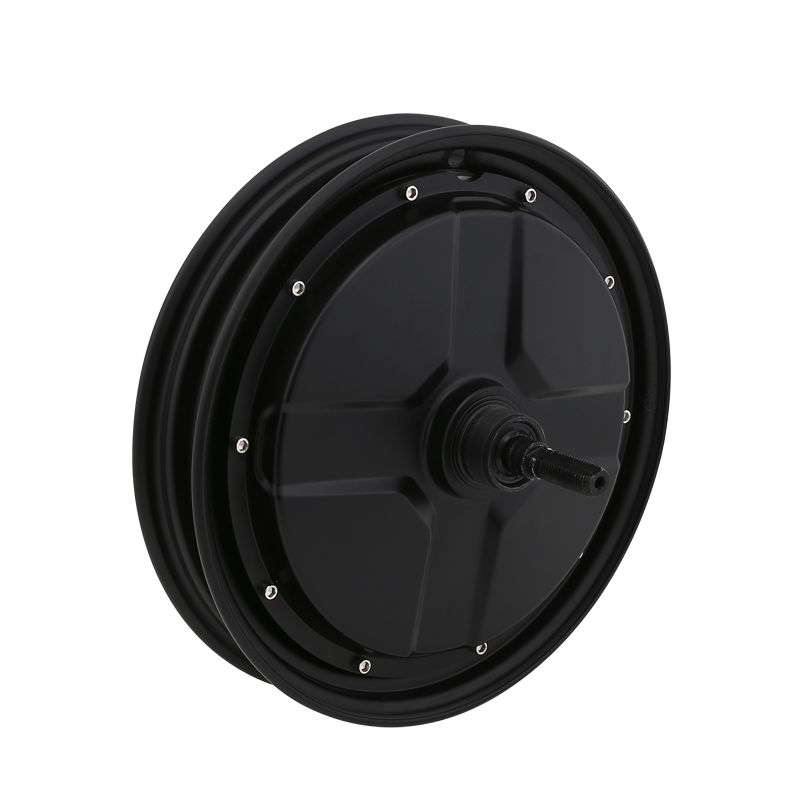 14'National standard electric vehicle motor(F002)